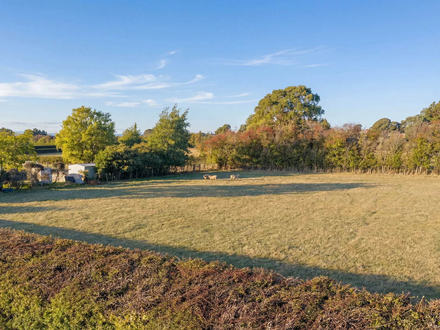 Additional image 23 of 109 Marriott Street, Westbury TAS 7303