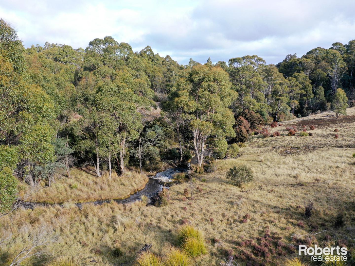 Lot 1 2399 Victoria Valley Road, Victoria Valley TAS 7140 Domain