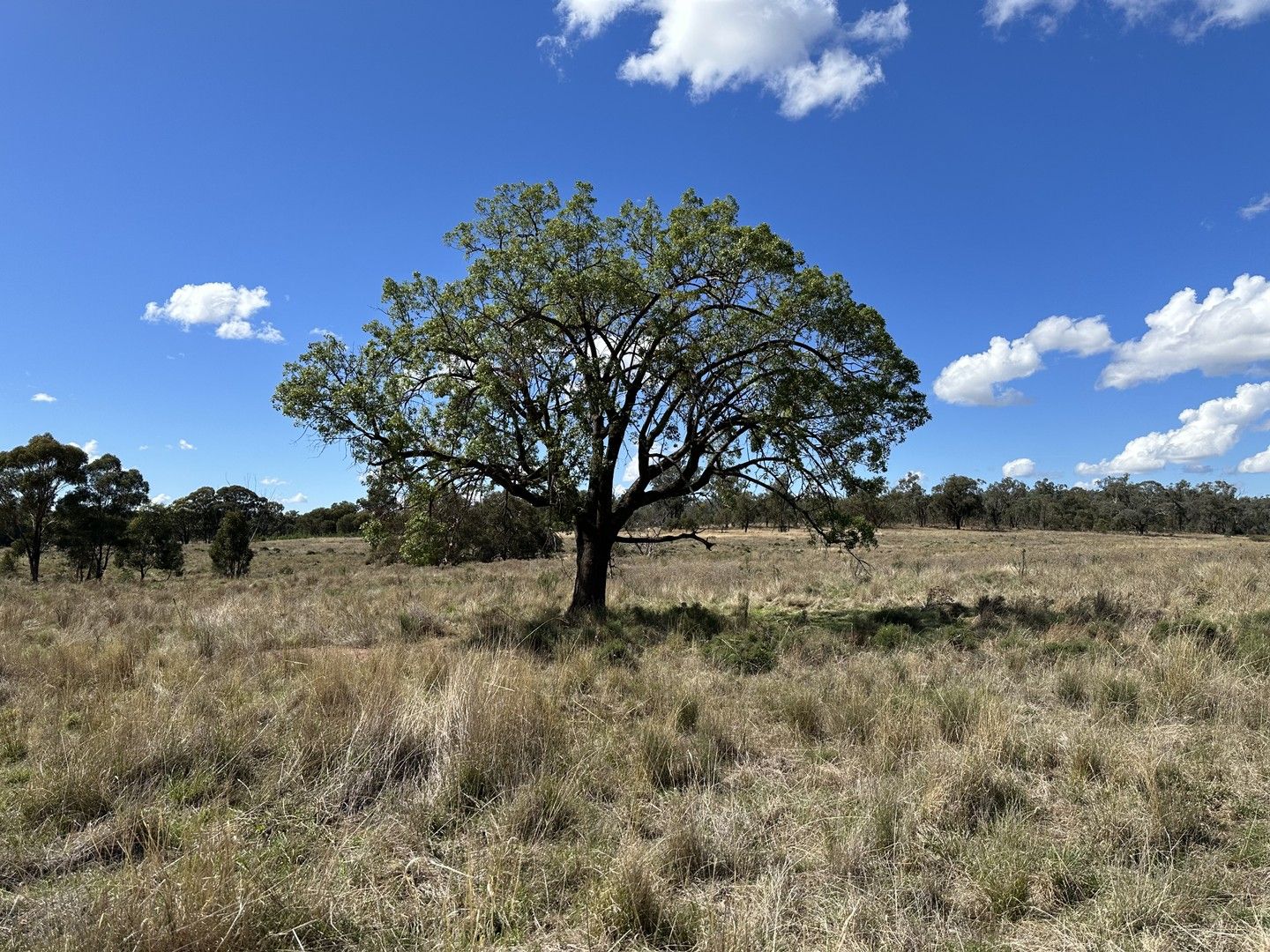 Orana & Kareela Ernie Hodges Road, Parkes NSW 2870, Image 0