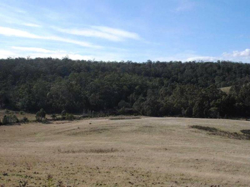 Lot 1 Triangle Marsh Road, Swansea TAS 7190, Image 1