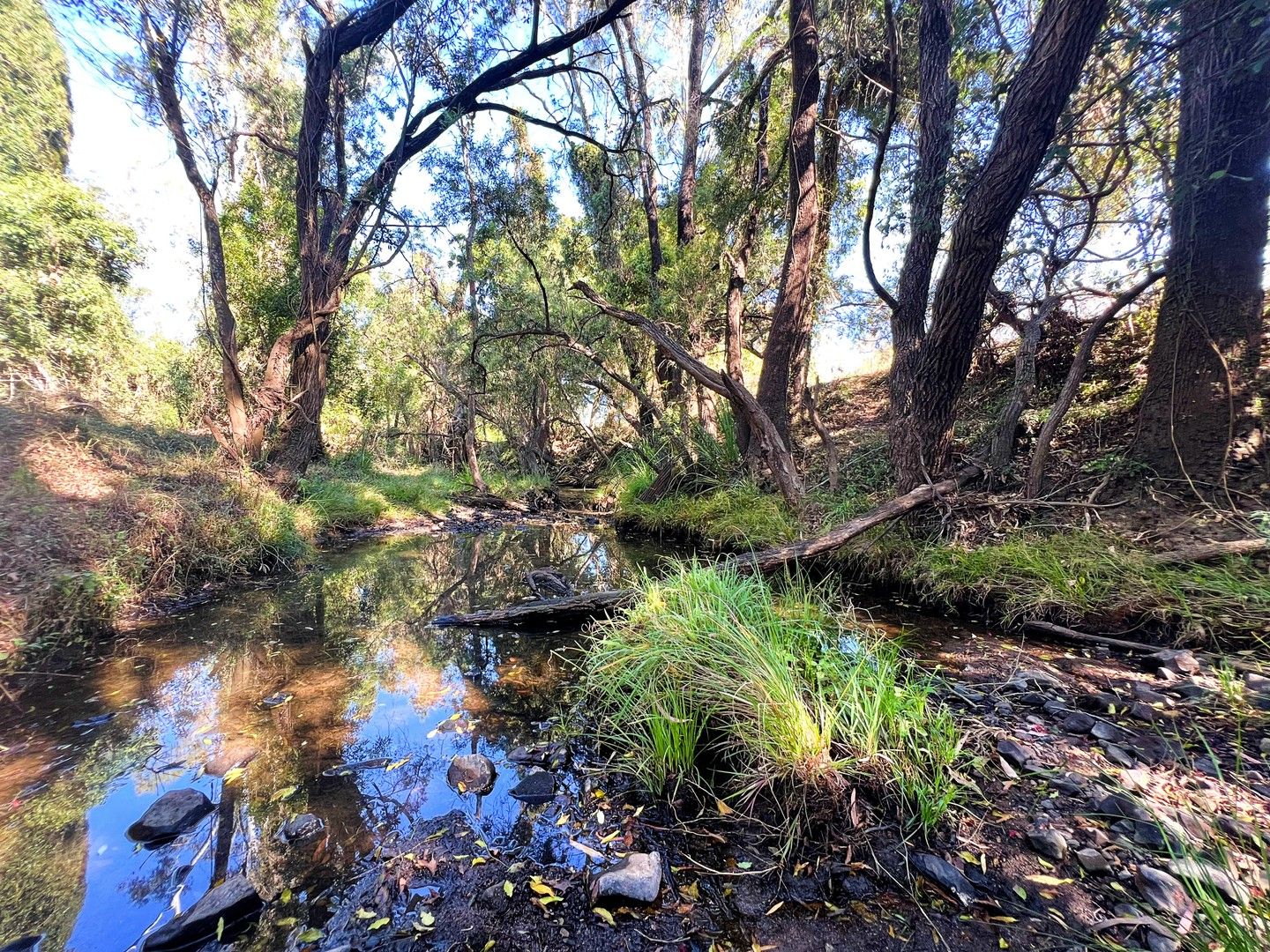 Lot 2 Pratts Road, Drinan QLD 4671, Image 0