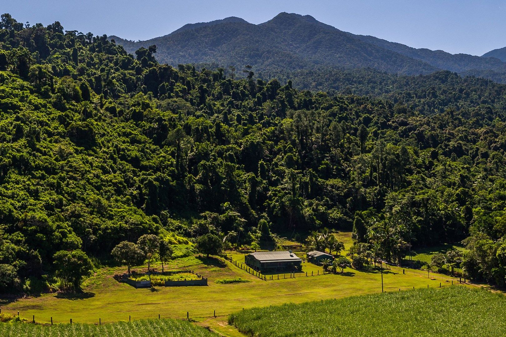 Babinda QLD 4861 House for Sale 32.23 ha Domain