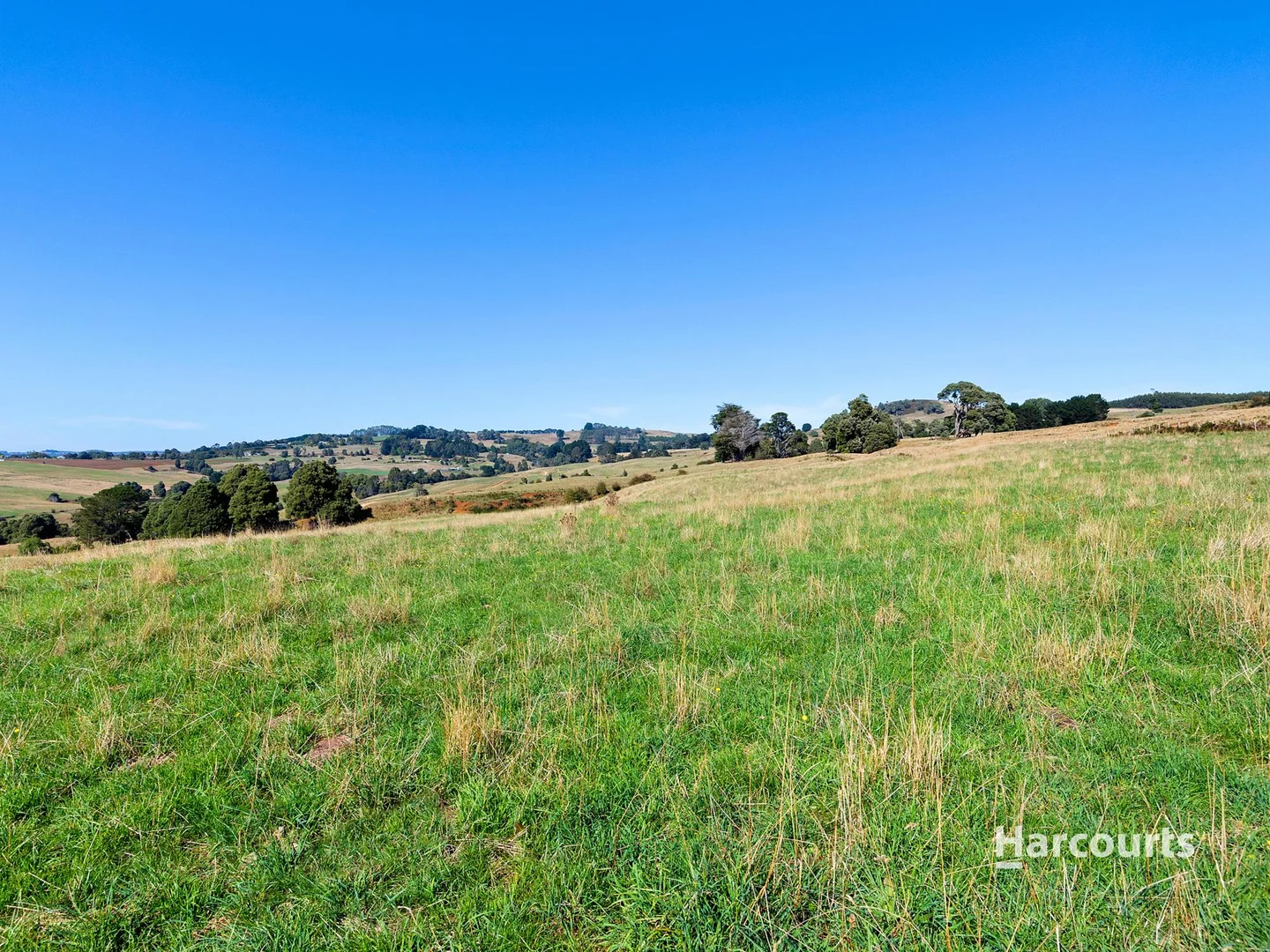 Additional image 7 of 00 Dudfields Road, Mount Hicks TAS 7325