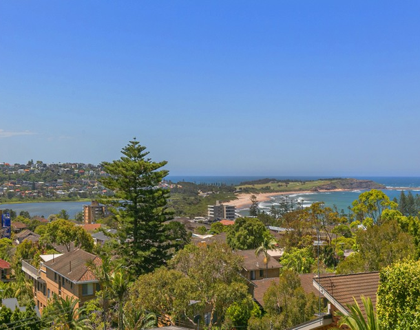 45 Bushey Place, Dee Why NSW 2099