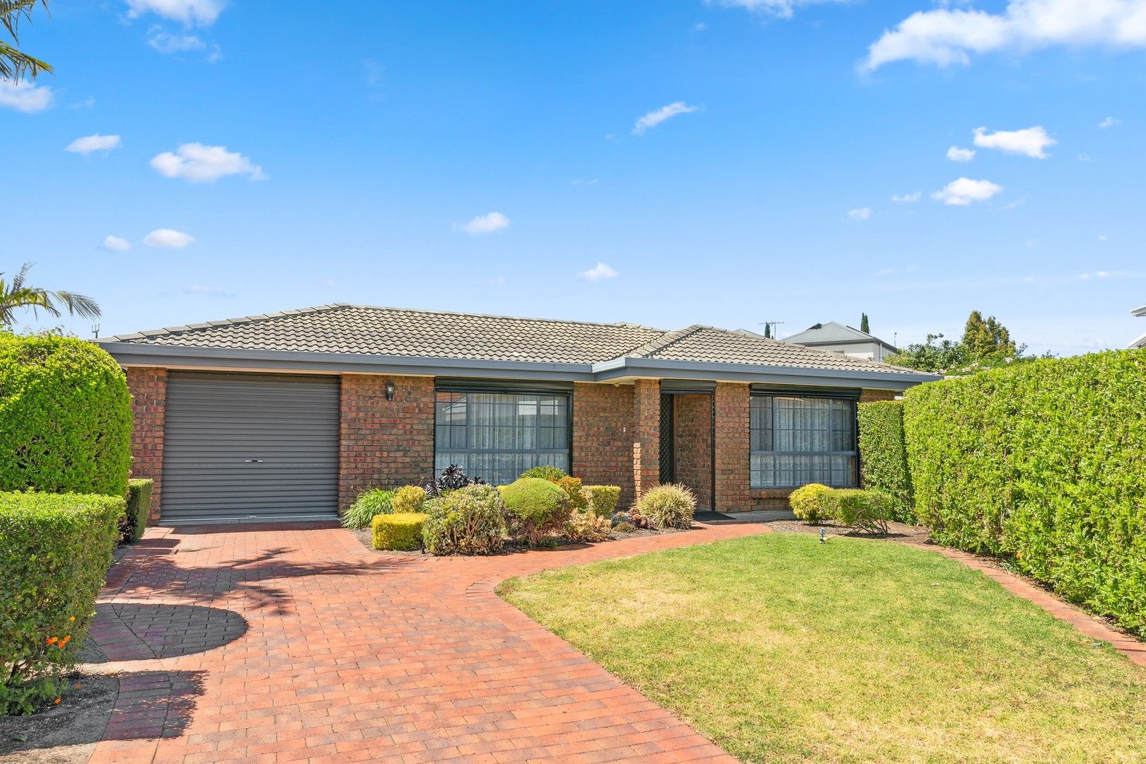 41A Pemberton Street, Oaklands Park SA 5046, Image 0