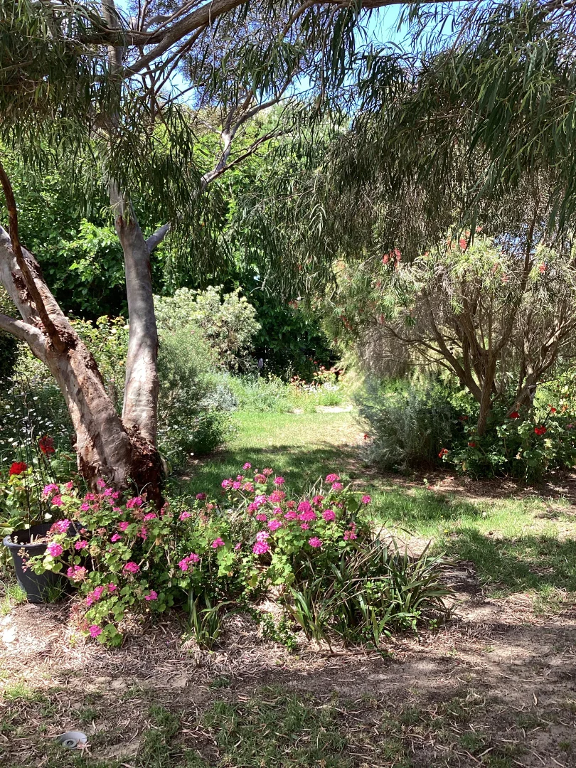 Additional image 58 of 17 Birdwood Street, Hopetoun WA 6348