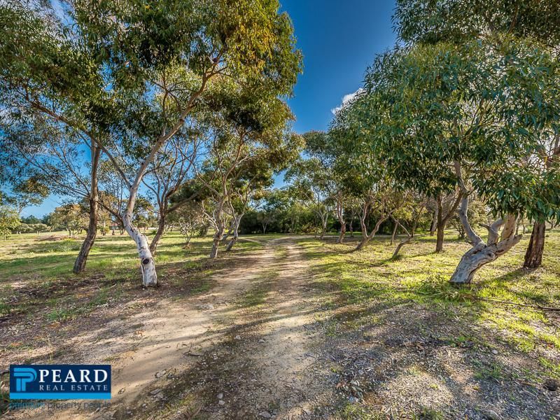 353 Tamarisk Drive, Gabbadah WA 6041, Image 1