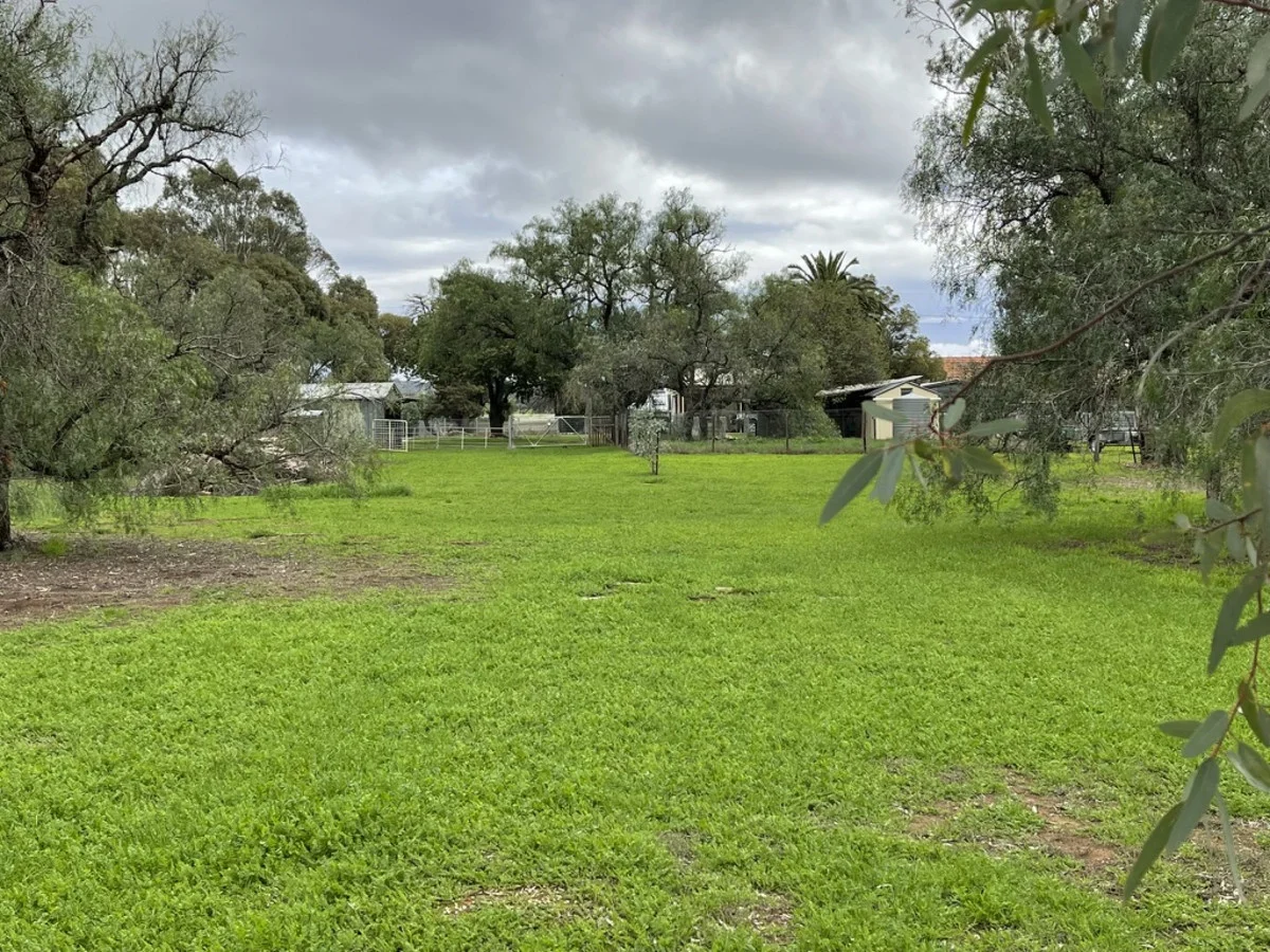 Image 31