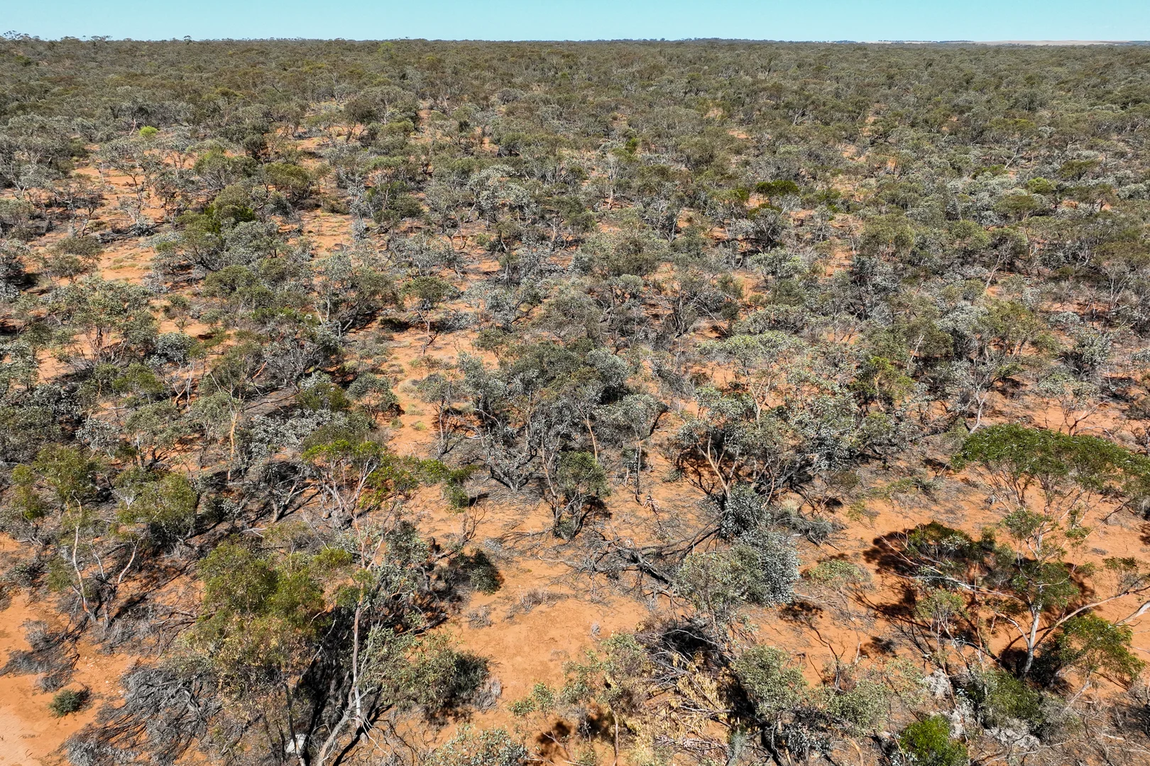 Additional image 11 of 652 Caddy Road, Loveday SA 5345