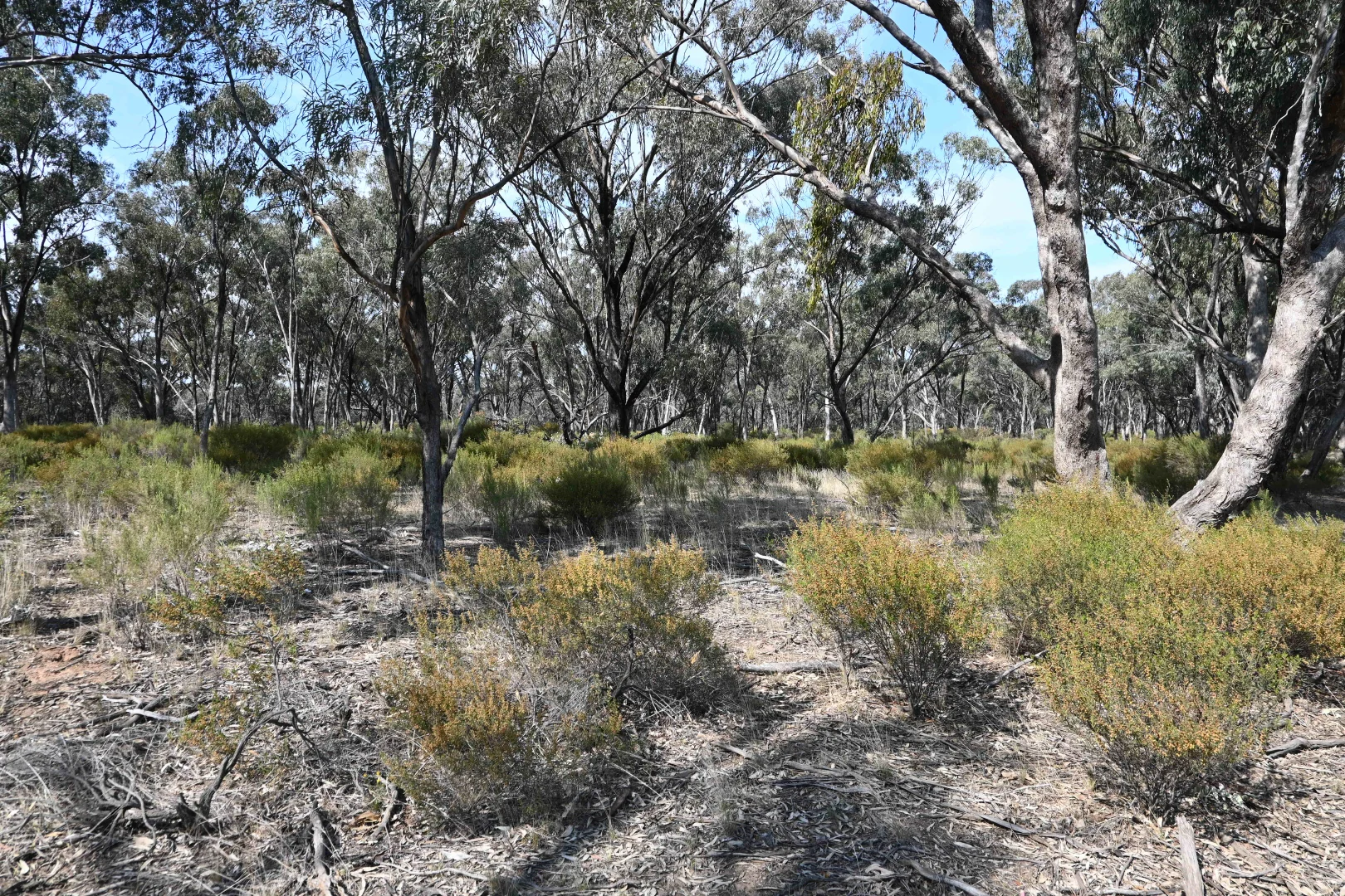 Image 12