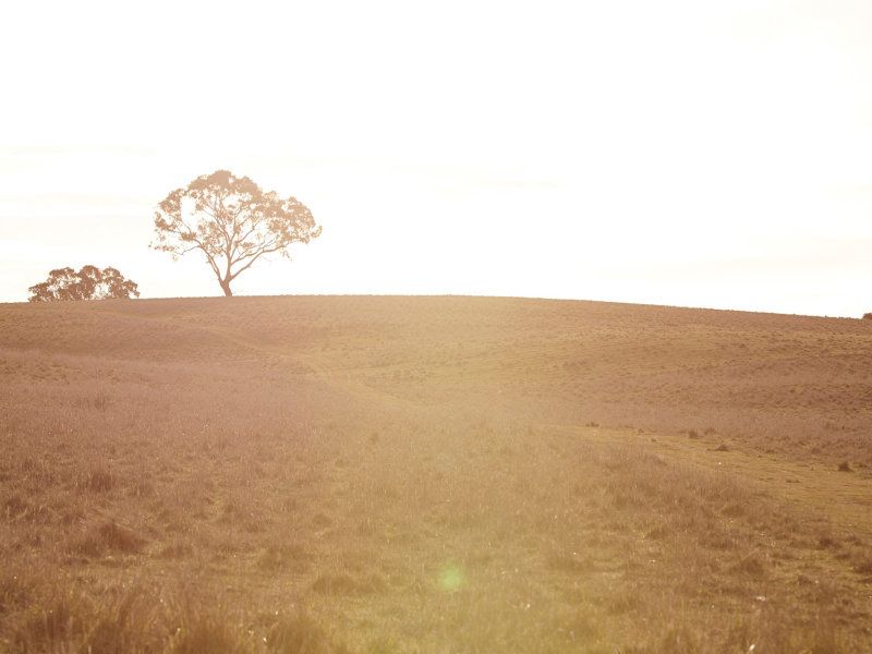 My Medical Murrumbateman