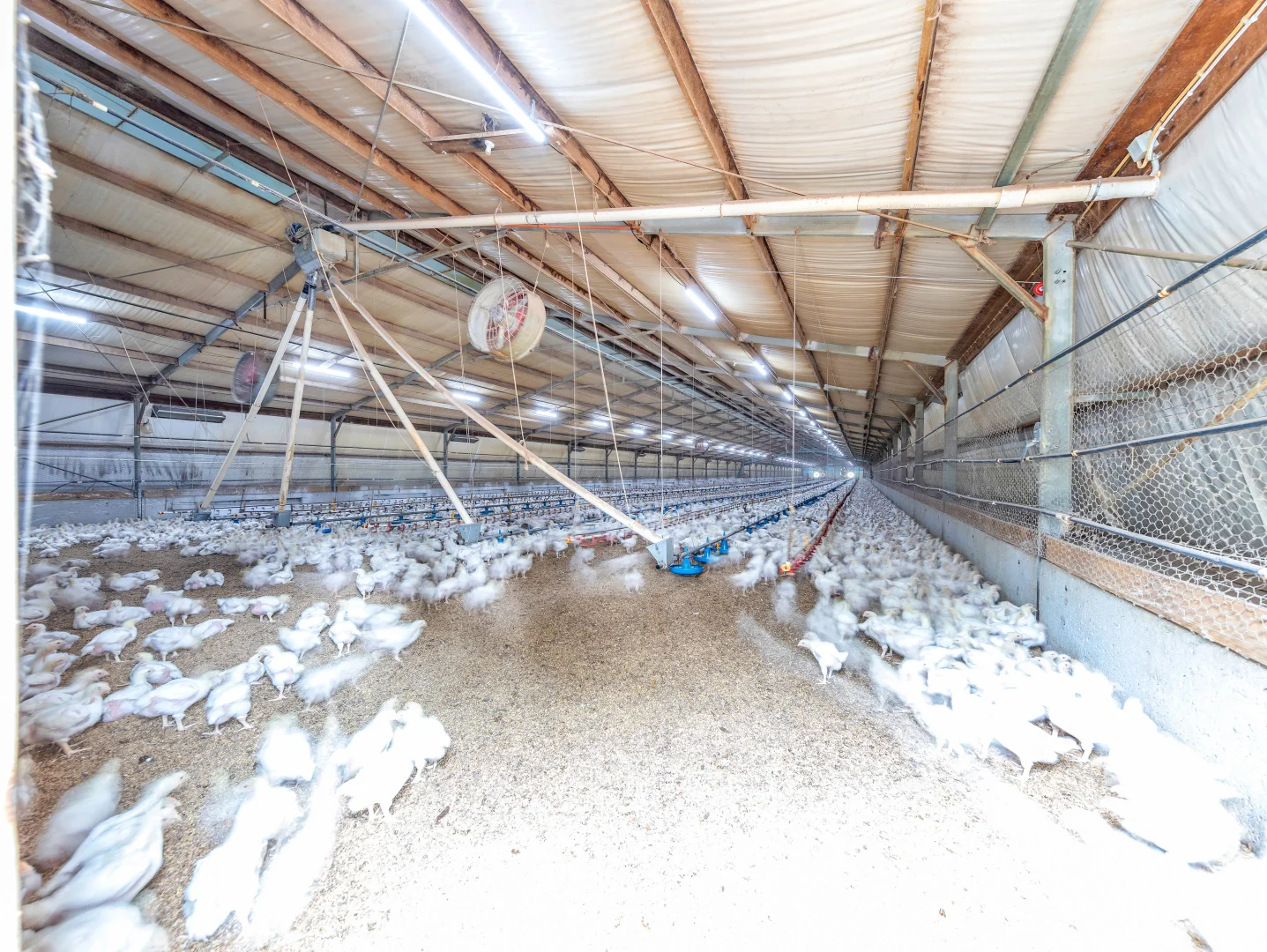 Additional image 6 of 415 Bunyip-Modella Road, Bunyip VIC 3815