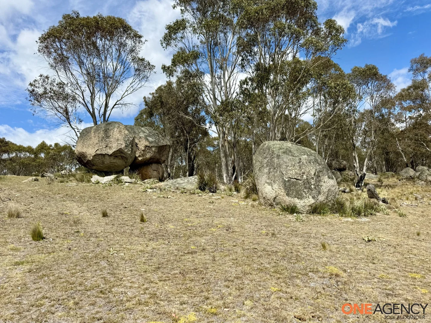 Image 15