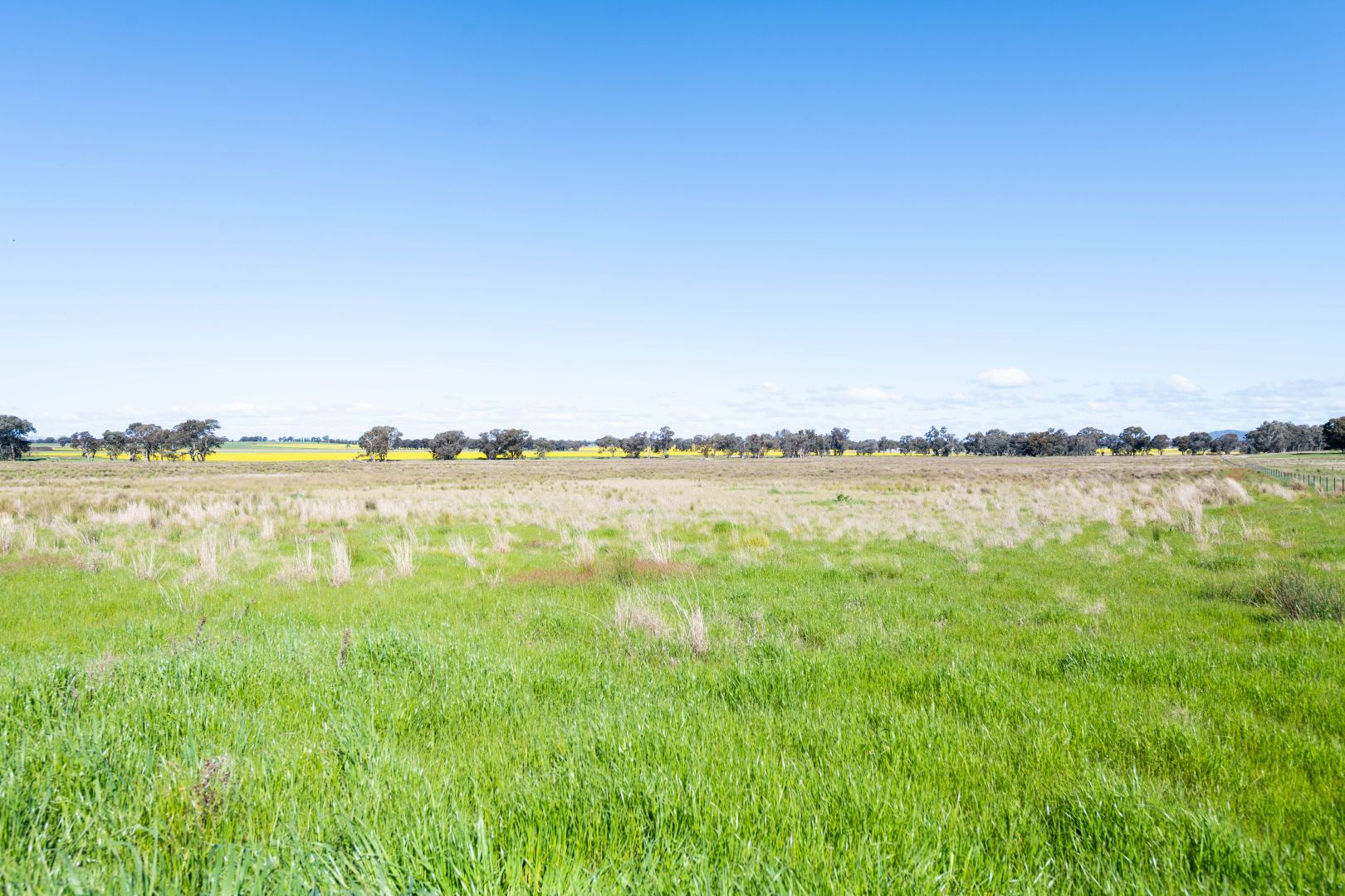 50 Middle Creek Road, Cowra NSW 2794 House for Sale Domain