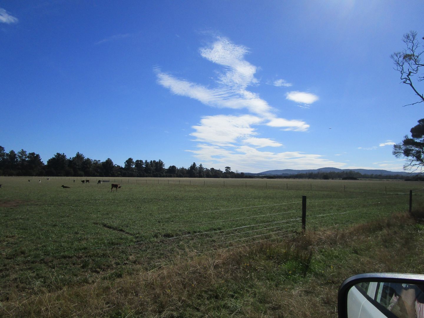 - Westwoods Road, Rowella TAS 7270, Image 2