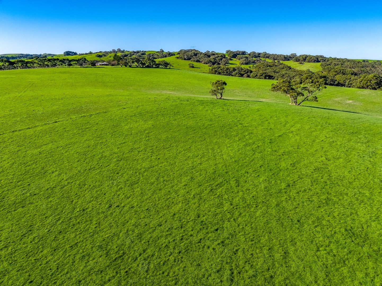 Lot 35 Mount Cone Road, Myponga SA 5202 House for Sale Domain