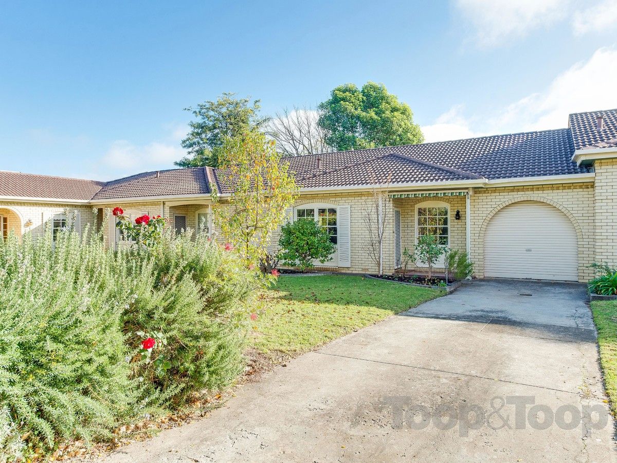 3C Leader Avenue, Toorak Gardens SA 5065, Image 0