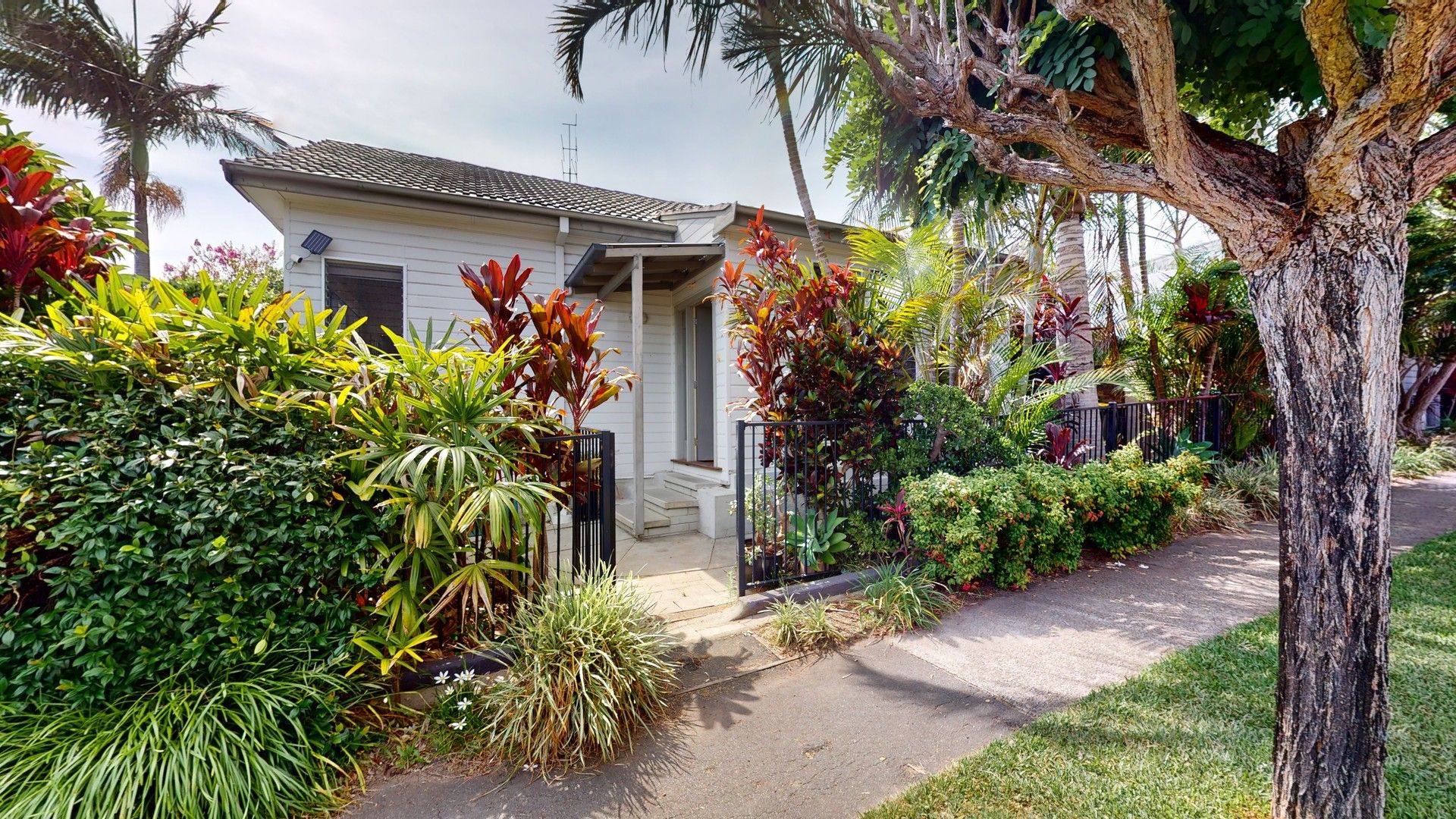 26 High Street, Belmont NSW 2280 House For Rent Domain