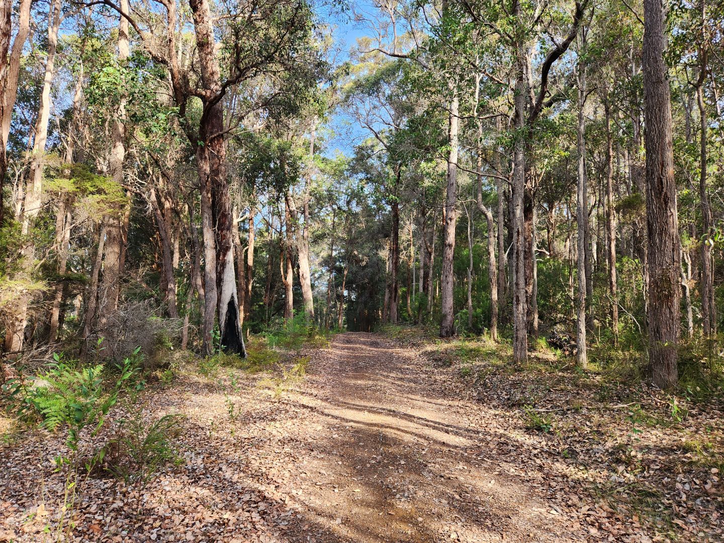 221 Gardiner Road, North Walpole WA 6398, Image 1