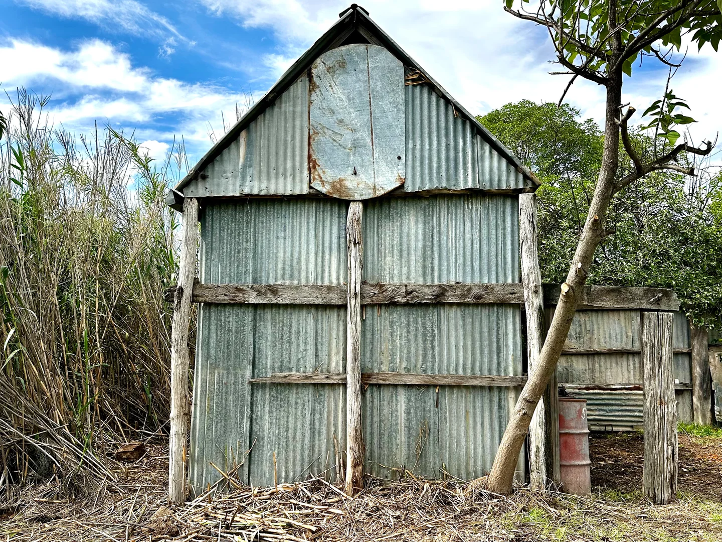 Image 11
