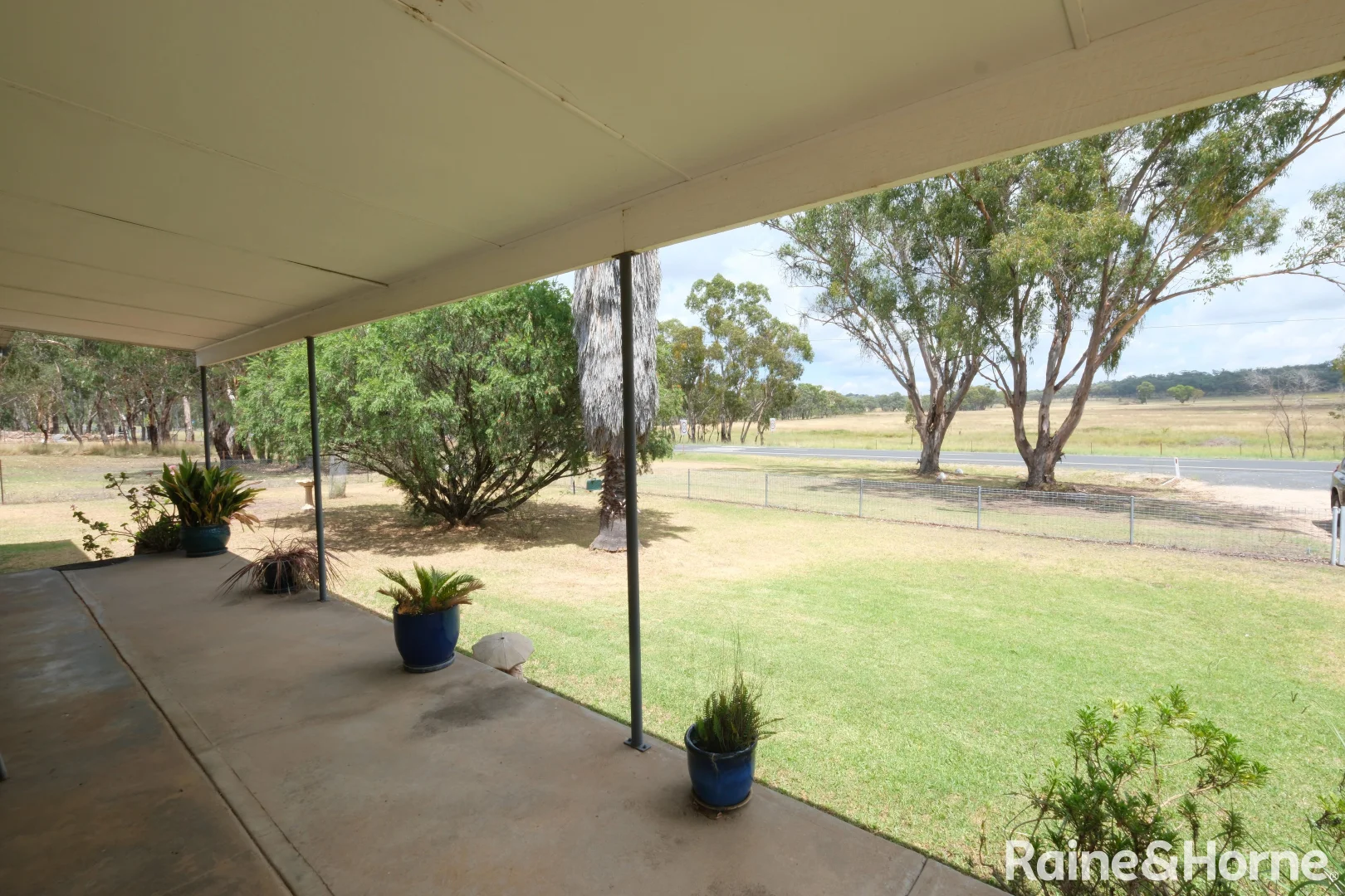 Image 12