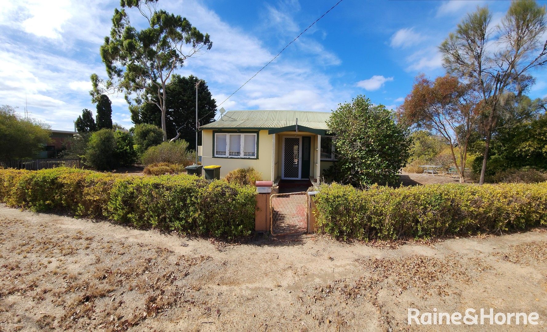 13 Hallam Road, Kojonup WA 6395 Domain