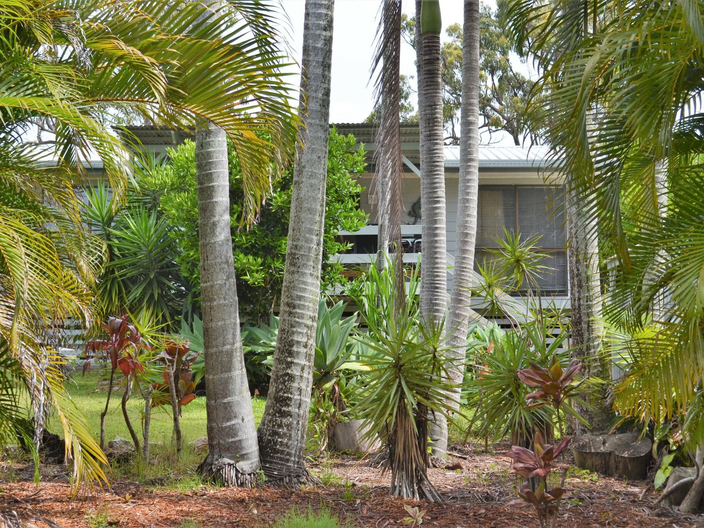 42 Barramundi Street, Macleay Island QLD 4184, Image 2