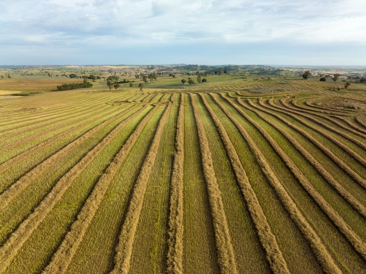 'Nimby West' 282 Nimby Road, Harden NSW 2587, Image 0