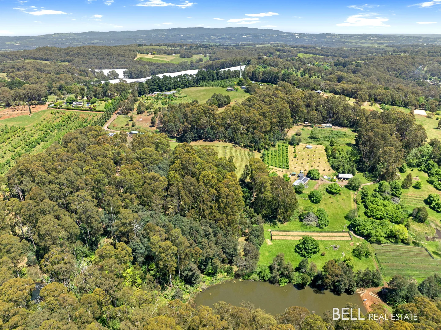 Additional image 23 of 795 Gembrook-Launching Place Road, Hoddles Creek VIC 3139