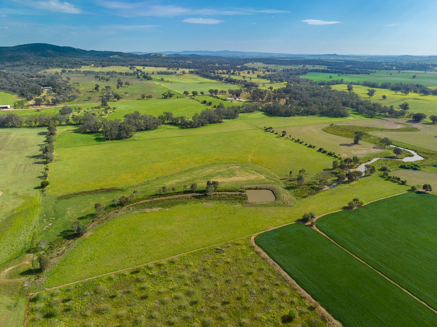 'North Calare' 29 Gurneys Road, Cowra NSW 2794, Image 1