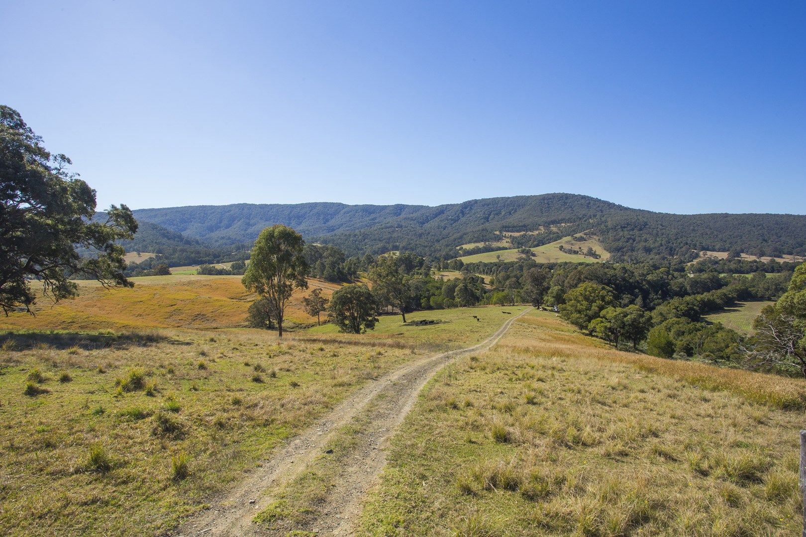 Lots 1-3 DP1103694 EP30785, Dungog NSW 2420, Image 0