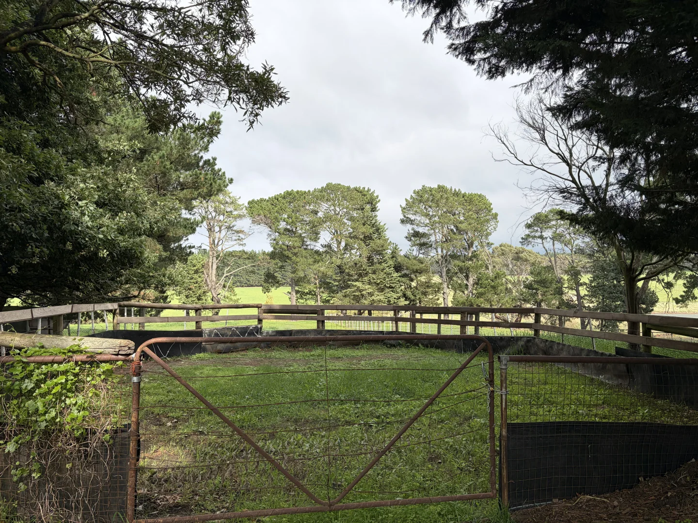 Additional image 16 of 261 Knox Rd, Romsey VIC 3434