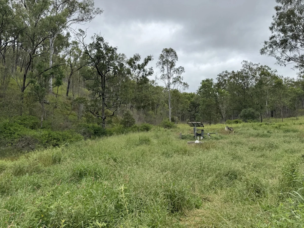 Additional image 28 of 1609 Monal Road, Monto QLD 4630