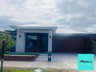 4 bedrooms New House & Land in 20 Elaine Street TARNEIT VIC, 3029