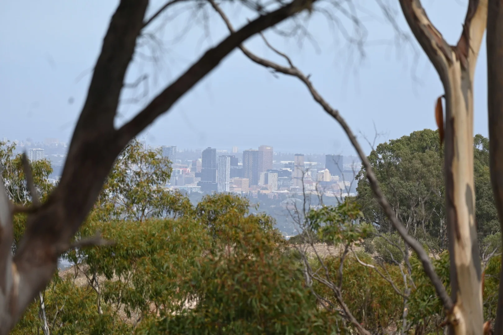 Additional image 28 of 100 Churchett Road, Paracombe SA 5132