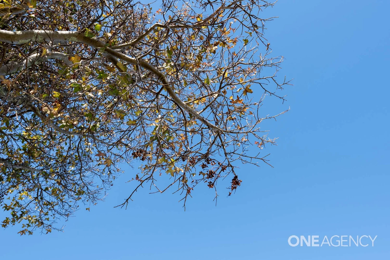 Additional image 20 of 82 Payne Street, Acton TAS 7320