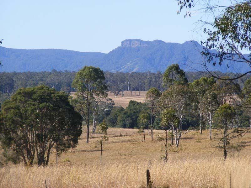 CEDAR PARTY NSW 2429, Image 2