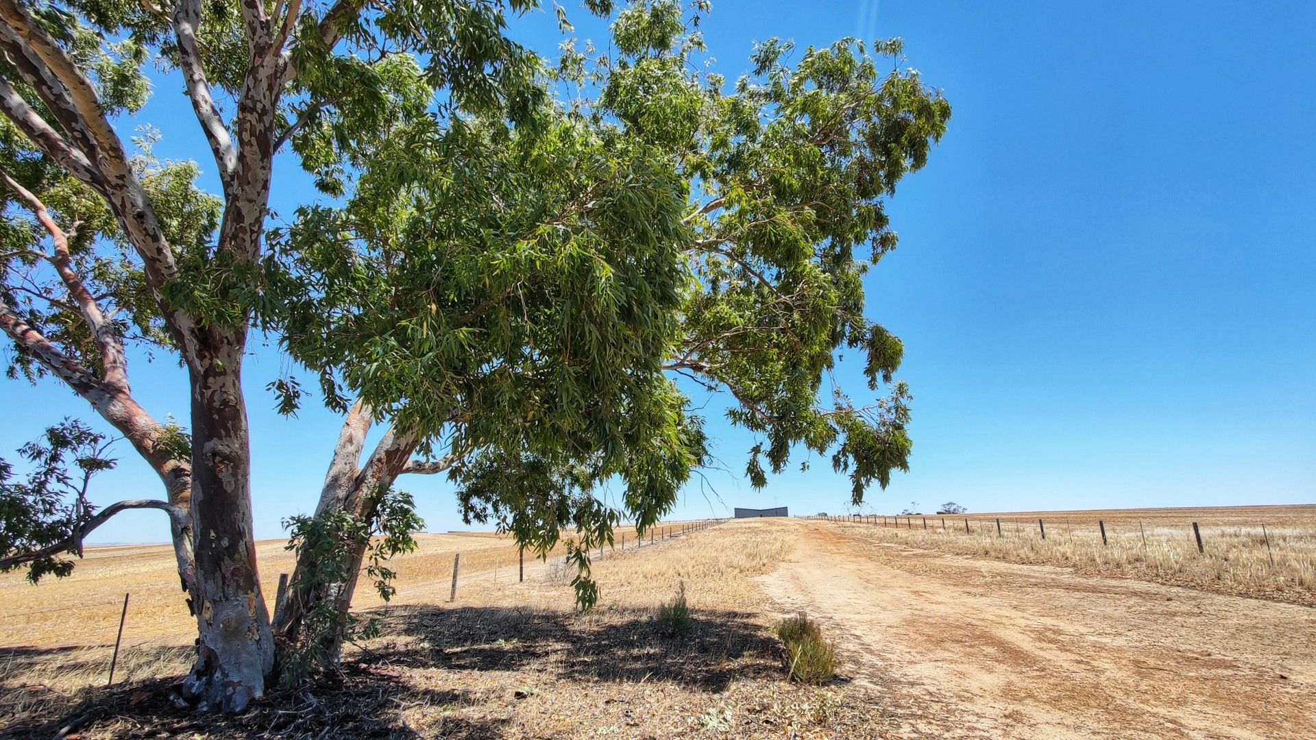 Lot 2 Burngup Road South, Mallee Hill WA 6353, Image 0