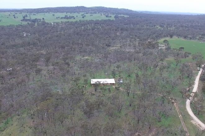 Picture of Wedderburn – Dunolly Road, WEHLA VIC 3518