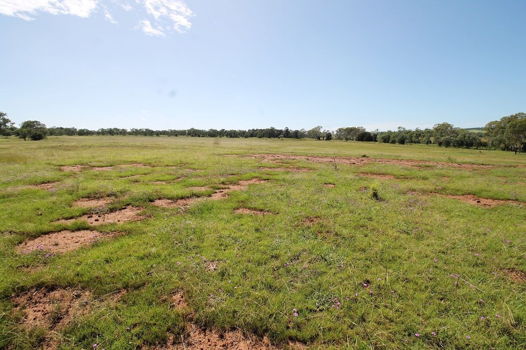 Lot 8 MP Creek Road, Cushnie QLD 4608, Image 2