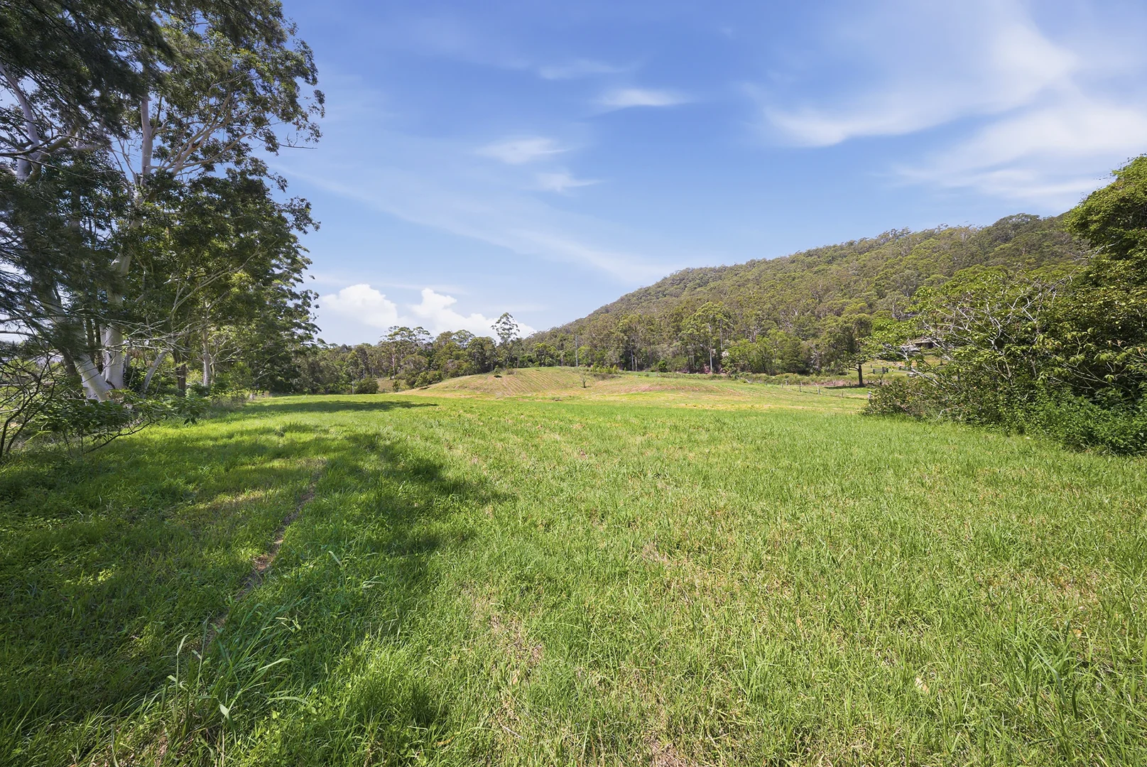 Additional image 34 of 207 Martins Creek Road, Paterson NSW 2421