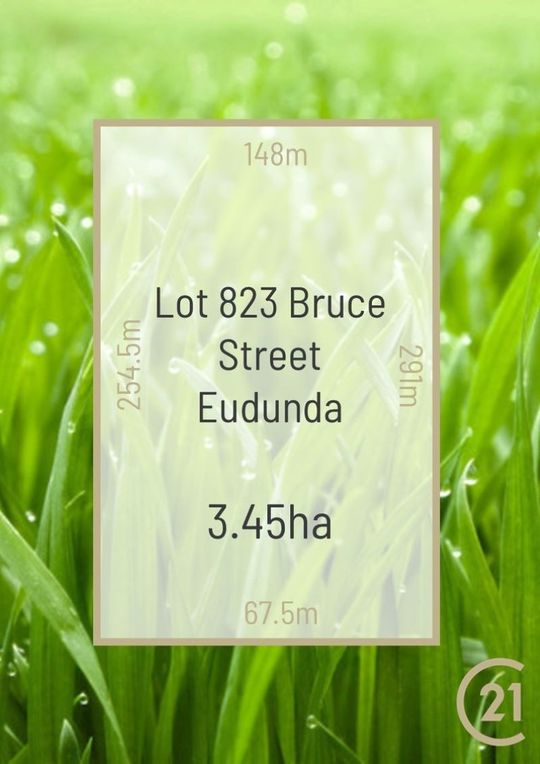 House in Lot 823 Bruce Street, EUDUNDA SA, 5374