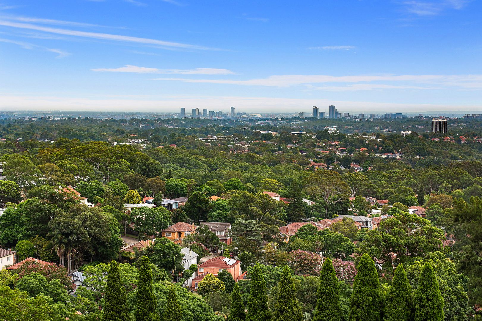 72/14 Brown Street, Chatswood NSW 2067, Image 1