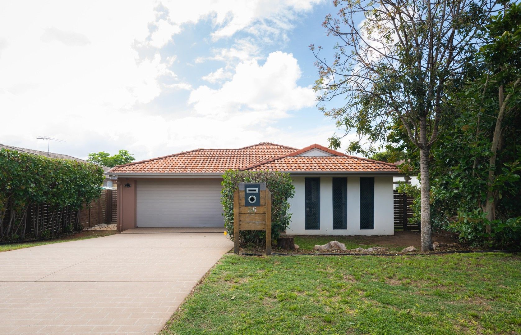 36 Conlan Street, Nudgee QLD 4014, Image 0