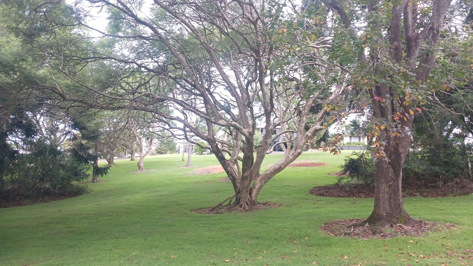 6/16-18 Golfers Crescent, Tamborine Mountain QLD 4272, Image 1