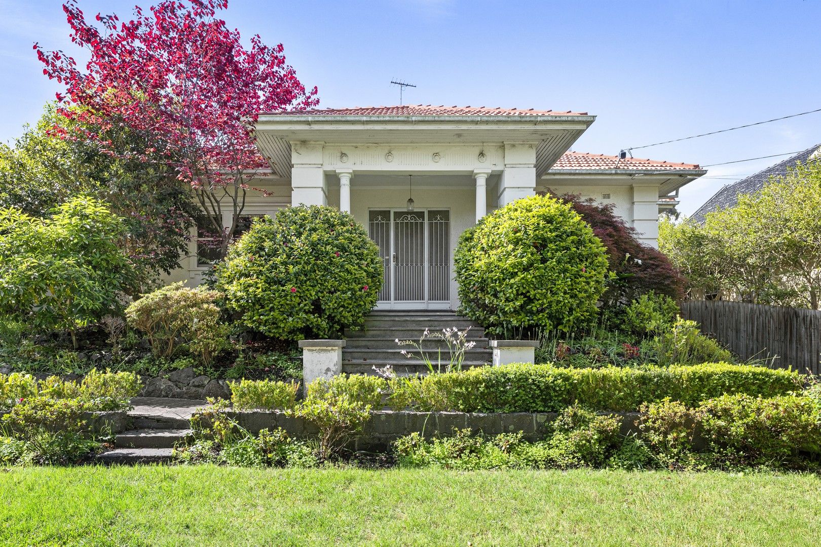 41 Dorrington Avenue, Glen Iris VIC 3146 House For Rent 1,350 Domain