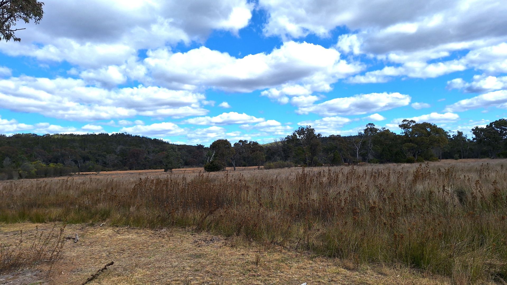 121 Jollys Fall Road, The Summit QLD 4377 House for Sale 645,000