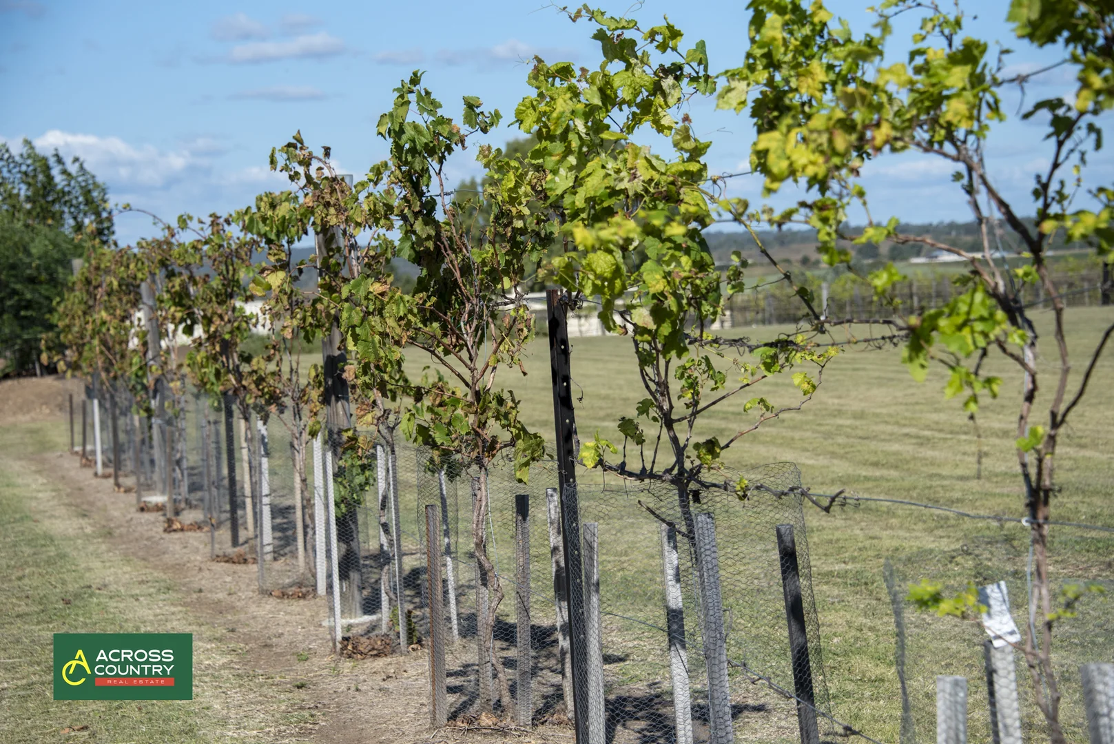 Additional image 40 of 18 Steinhardts Road, Moffatdale QLD 4605