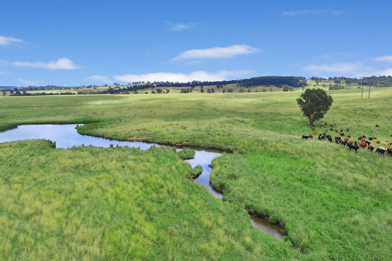 1822 Old Armidale Road, Guyra NSW 2365