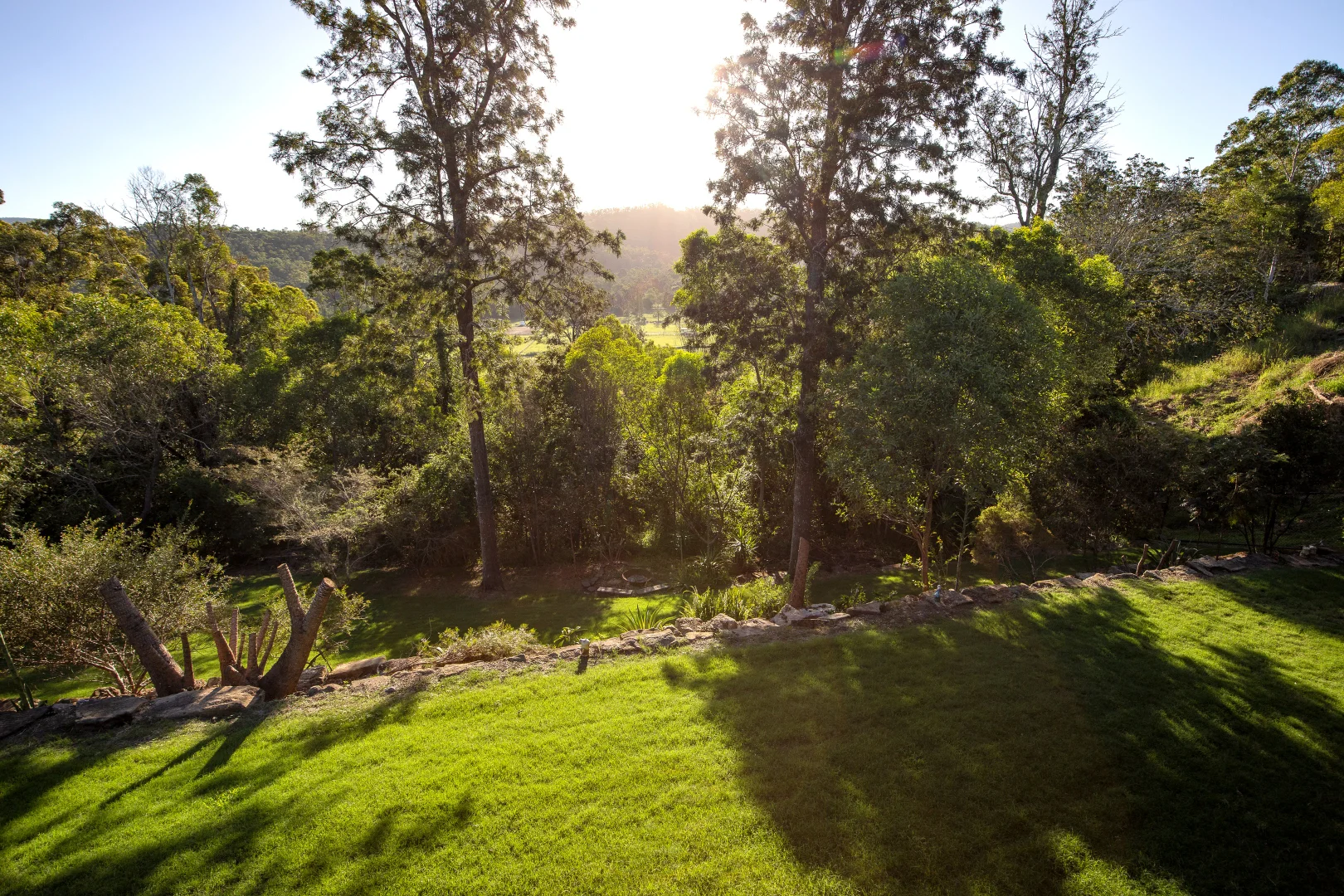 Additional image 30 of 20 Springview Crescent, Maudsland QLD 4210